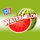 ICEE Flavor Watermelon