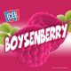 ICEE Flavor Boysenberry